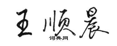 駱恆光王順晨行書個性簽名怎么寫