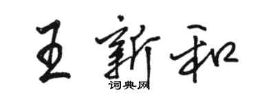 駱恆光王新和行書個性簽名怎么寫
