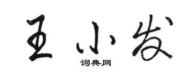 駱恆光王小發行書個性簽名怎么寫