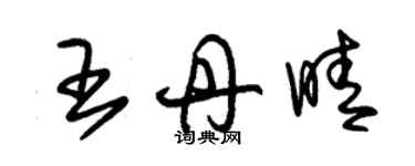 朱錫榮王丹晴草書個性簽名怎么寫