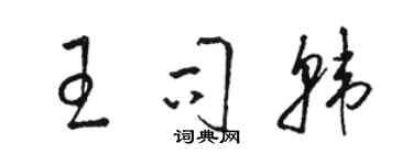 駱恆光王司韓草書個性簽名怎么寫