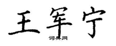 丁謙王軍寧楷書個性簽名怎么寫