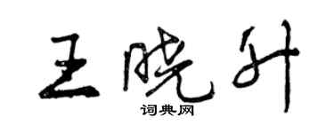 曾慶福王曉升行書個性簽名怎么寫