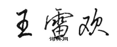 駱恆光王雷歡行書個性簽名怎么寫