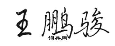 駱恆光王鵬駿行書個性簽名怎么寫