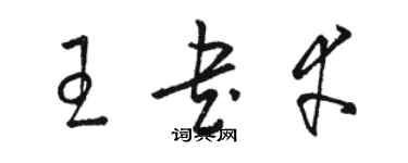 駱恆光王書幸草書個性簽名怎么寫