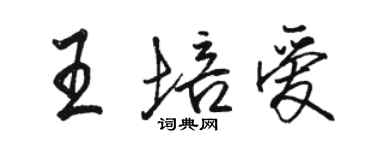 駱恆光王培愛行書個性簽名怎么寫