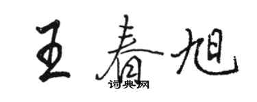駱恆光王春旭行書個性簽名怎么寫