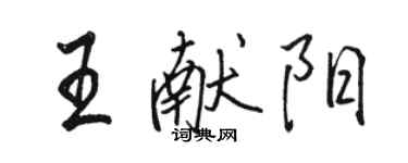 駱恆光王獻陽行書個性簽名怎么寫