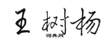 駱恆光王樹楊行書個性簽名怎么寫