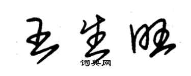 朱錫榮王生旺草書個性簽名怎么寫