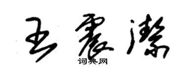 朱錫榮王震潔草書個性簽名怎么寫