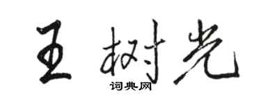 駱恆光王樹光行書個性簽名怎么寫
