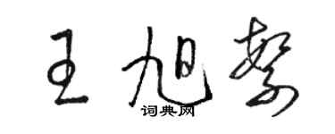 駱恆光王旭繁草書個性簽名怎么寫