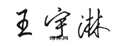 駱恆光王宇淋行書個性簽名怎么寫