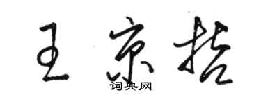 駱恆光王京哲草書個性簽名怎么寫