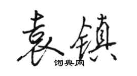 駱恆光袁鎮行書個性簽名怎么寫