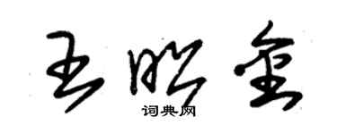 朱錫榮王昭金草書個性簽名怎么寫