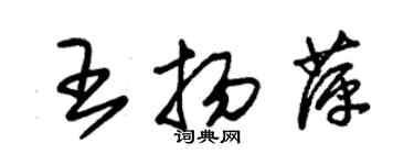 朱錫榮王揚萍草書個性簽名怎么寫