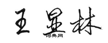 駱恆光王顯林行書個性簽名怎么寫