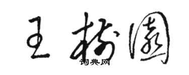 駱恆光王樹園草書個性簽名怎么寫