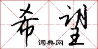 希望怎么寫好看