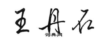 駱恆光王丹石行書個性簽名怎么寫