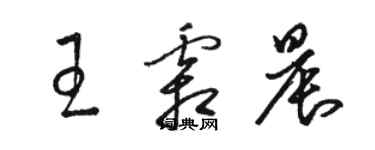 駱恆光王霜晨草書個性簽名怎么寫