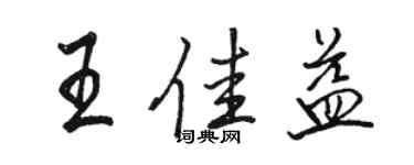 駱恆光王佳益行書個性簽名怎么寫