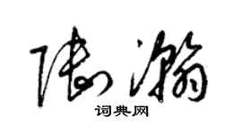 梁錦英陸瀚草書個性簽名怎么寫