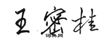 駱恆光王密桂行書個性簽名怎么寫