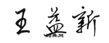 駱恆光王益新行書個性簽名怎么寫