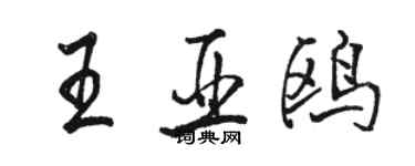 駱恆光王亞鷗行書個性簽名怎么寫