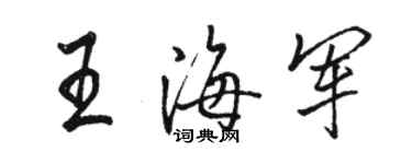 駱恆光王海軍行書個性簽名怎么寫