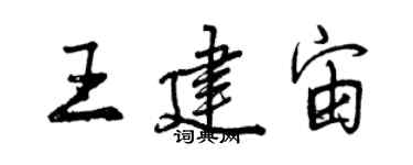 曾慶福王建宙行書個性簽名怎么寫