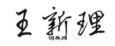 駱恆光王新理行書個性簽名怎么寫