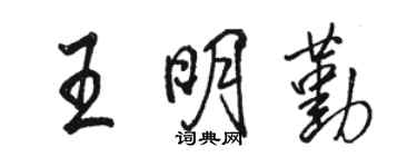 駱恆光王明勤行書個性簽名怎么寫