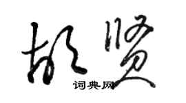 駱恆光胡賢草書個性簽名怎么寫