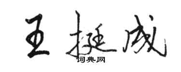 駱恆光王挺成行書個性簽名怎么寫