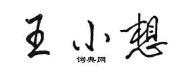駱恆光王小想行書個性簽名怎么寫