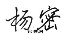 駱恆光楊密行書個性簽名怎么寫
