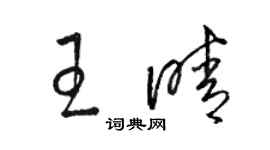 駱恆光王晴草書個性簽名怎么寫