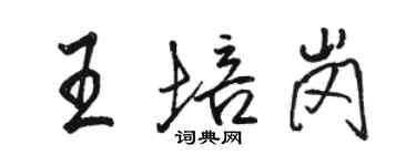 駱恆光王培崗行書個性簽名怎么寫