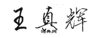 駱恆光王真輝行書個性簽名怎么寫