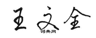 駱恆光王文全行書個性簽名怎么寫