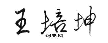 駱恆光王培坤行書個性簽名怎么寫