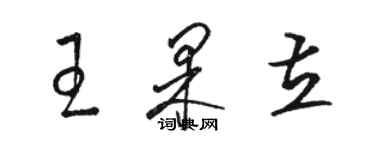 駱恆光王果立草書個性簽名怎么寫