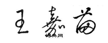 駱恆光王嘉苗草書個性簽名怎么寫