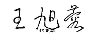 駱恆光王旭蓉草書個性簽名怎么寫