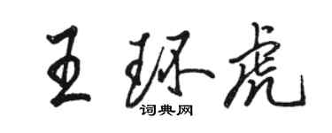 駱恆光王環虎行書個性簽名怎么寫